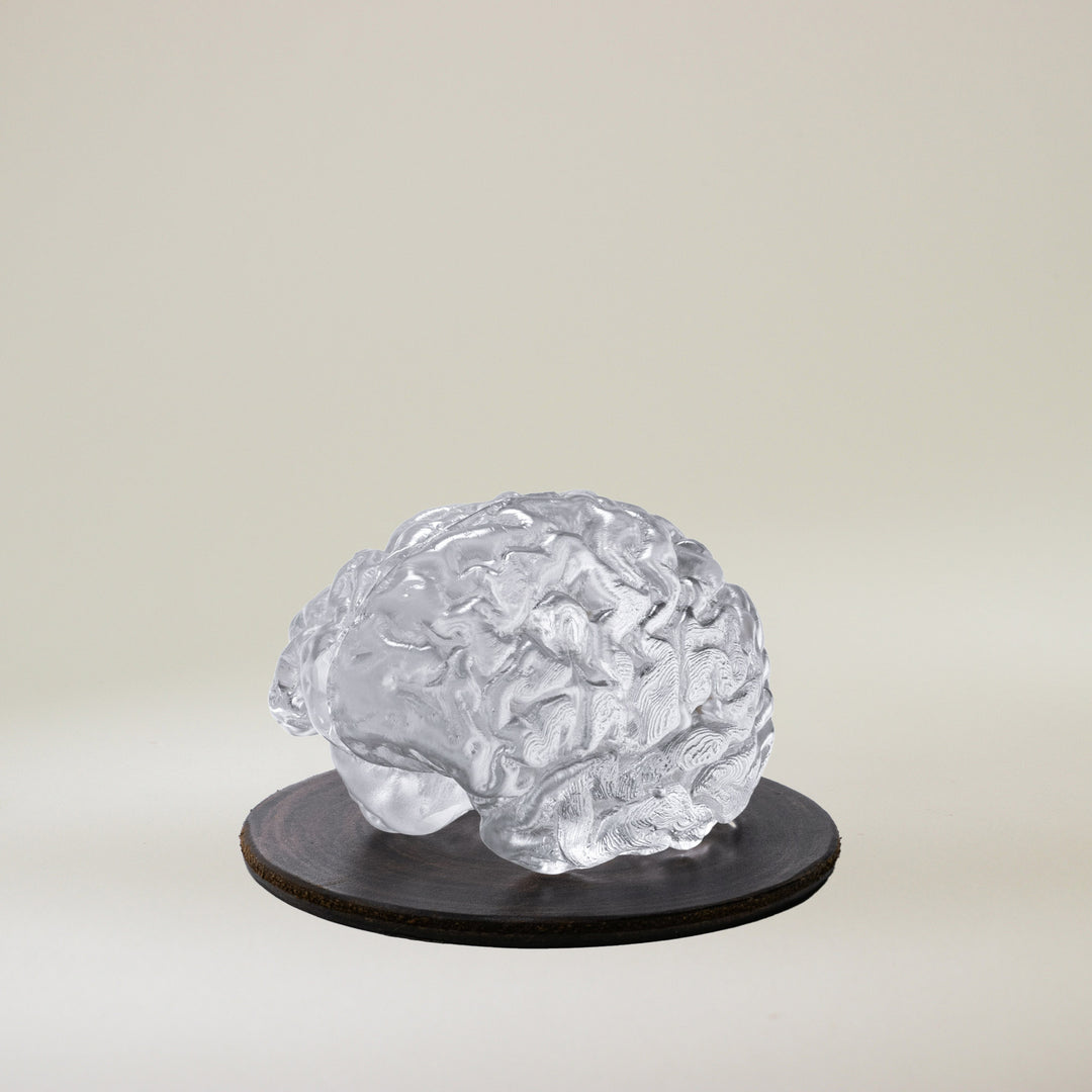 Glass Brain Sculpture Default Title #MWS Options 1825102069