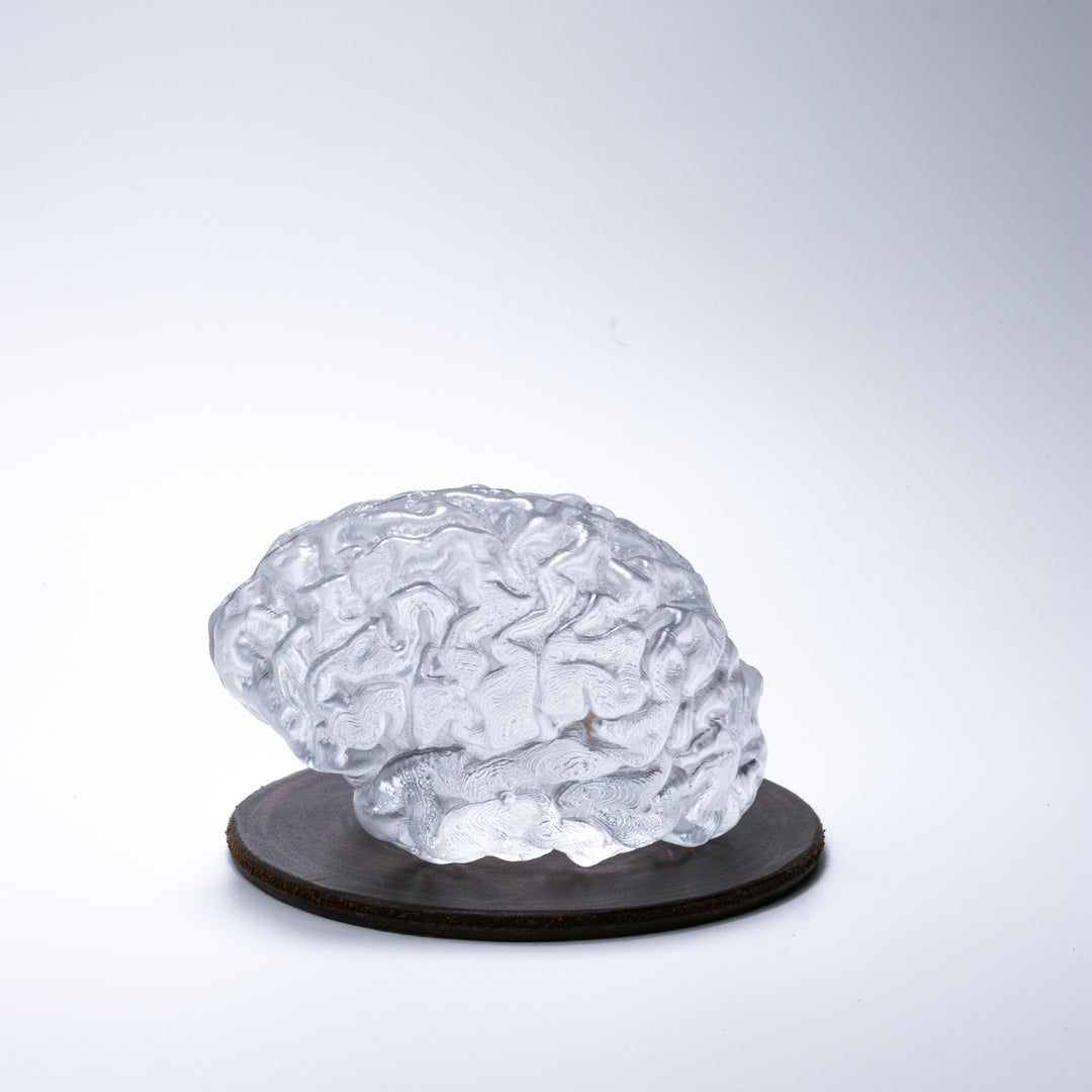 Glass Brain Sculpture