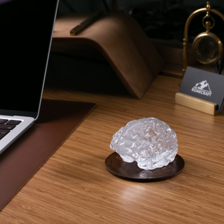 Glass Brain Sculpture