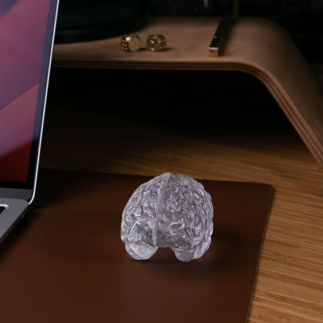 Glass Brain Sculpture